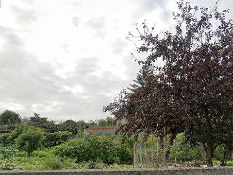 Land for sale in Aveiro
