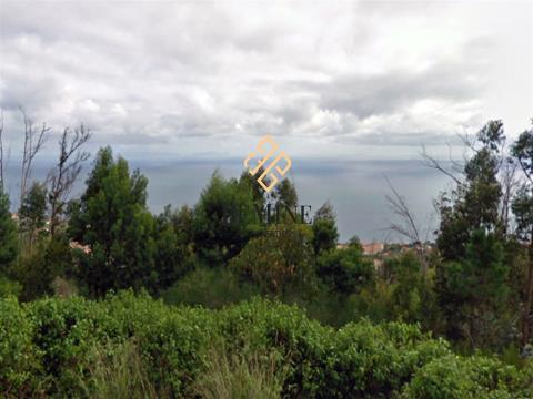 Land / Eiras, Caniço - Madeira Island