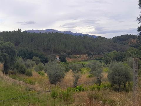 Detached farm with 1400m2, views of the Valley.