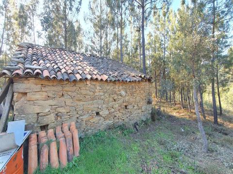 Farm with 22,560m2 and house to recover in the parish of Sarzedas