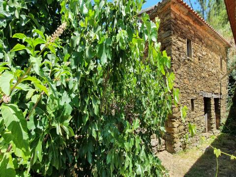 3 bedroom villa with land of 1,200m2, in the parish of Estreito-Vilar Barroco, Oleiros