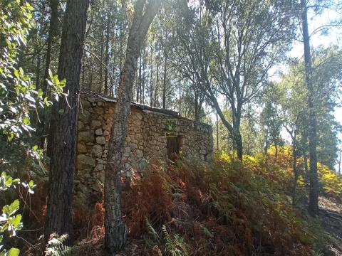 Rustic Property with 56000m2 in Penha Garcia