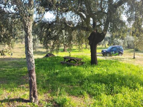 Rustic land 8900m2 with approved agricultural construction project - Alpedrinha