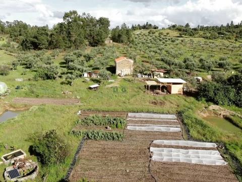 Farm with Rural Construction - Dam - 2 Wells - 19.490m2 - Juncal do Campo