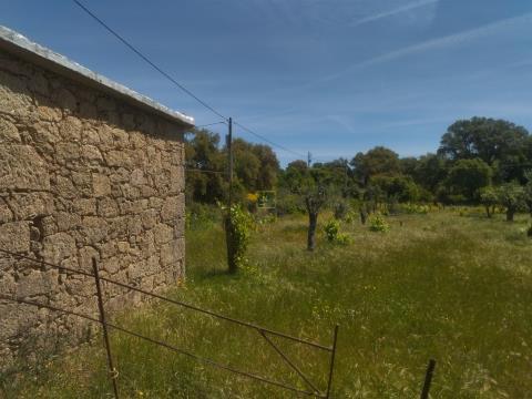 Farm with 2650m2 in Escalos de Cima