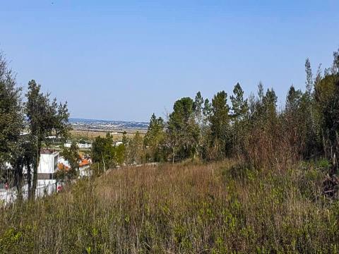 Real estate land , Taveiro, Coimbra / Sell