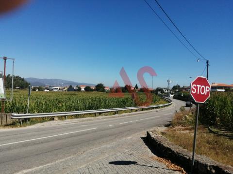 Building land with 22,365 m2 in Alvelos, Barcelos