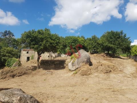 Kleiner Bauernhof zur Restaurierung mit 5313 m2 in Vizela