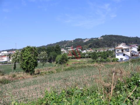 Land for construction with 1 000 m2 in Order, Lousada
