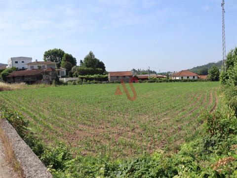 Land for construction with 4 750 m2 in Order, Lousada
