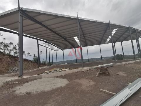 Terreno murado com 2.659 m2, localizado na zona industrial de Rebordosa, Paredes.