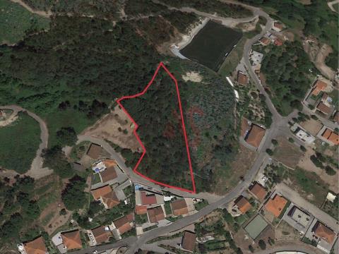 Rustic land with 7028 m2, in Tagilde, Vizela.
