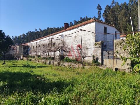 Bauernhof mit 5 Schlafzimmern - Grimancelos, Barcelos