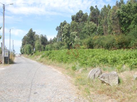 Land for construction with 16.670m2 in Sequeiró, Santo Tirso