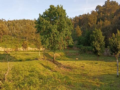 Bauernhof zur Restaurierung mit 14.000m2 S.M.Negrelos, Stº Tirso