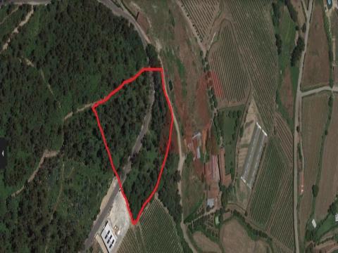 Rustic land with 8,200 m2 in Gémeos, Guimarães