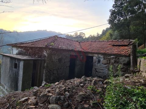 Quinta com 5 hectares e 9 casas para restaurar em Souselo, Cinfães