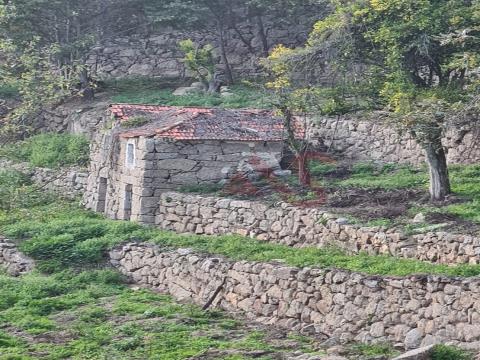 Ferme de 5 hectares et 9 maisons à restaurer à Souselo, Cinfães