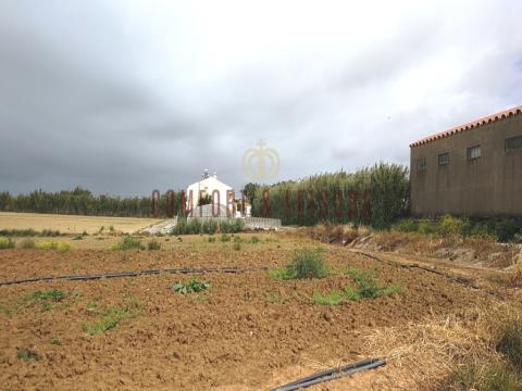 Allotment for 5 houses in a condominium with pool in Lourinhã