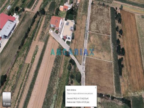 ANG992 - Terreno para Venda em Chãs, Regueira de Pontes, Leiria