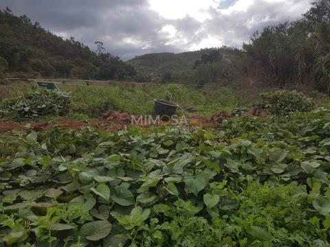 Boerderij met 3 slaapkamers in Marmelete, Monchique, met 13 hectare en huis
