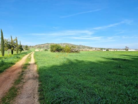 Rustic land - Flat - Good access - Irrigation perimeter - Odiáxere - Lagos - Algarve
