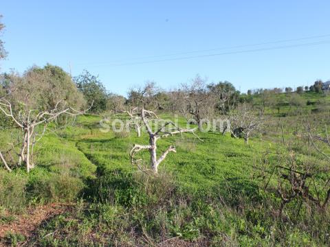 Sortami - Mediação Imobiliária, Lda.