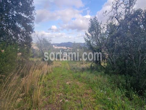 Sortami - Mediação Imobiliária, Lda.