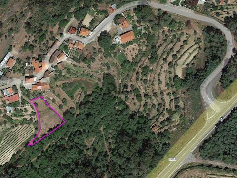 Terreno com viabilidade construtiva na Quinta da Silva