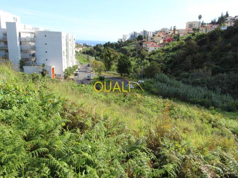 Terreno com 4032 m2 no Funchal - Ilha da Madeira - €650.000,00