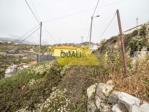 Rustic plot with 3132 square meters in Ribeira Brava - € 220.000,00