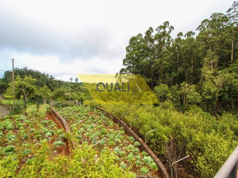 Terreno misto di 4690 m2 a Santo da Serra, Isola di Madeira - € 260.000,00