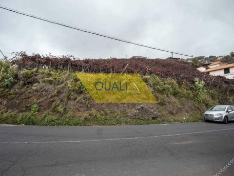 Terreno de 3923m2, ubicado en Câmara De Lobos - Isla de Madeira - € 275.000,00