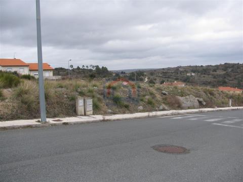 Terreno para construção, Miranda do Douro