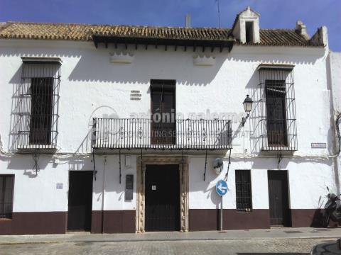 Pátio de la Jaboneria,  Palácio do Marquês de Ayamonte