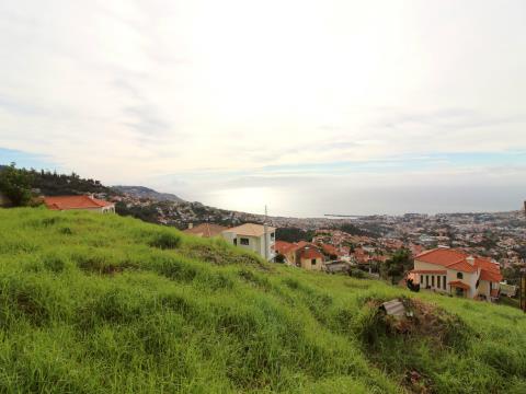 Terreno em Funchal, São Roque;