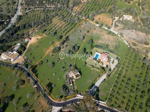 Mixed Land of 10,000m2 with Ruin and with Pre-Approved Project
