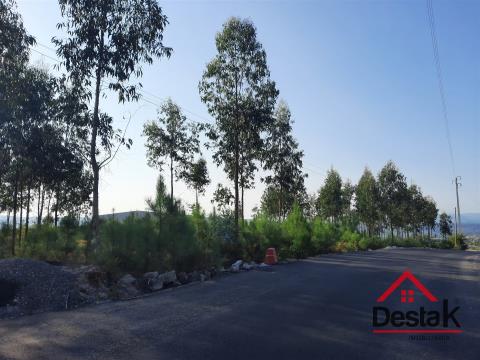 Land for construction in Campia. Excellent hits!