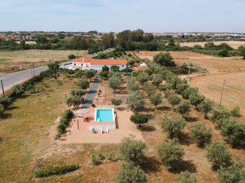 Farm T5 with garage, pool and land with 1,05ha, Alvalade, Alentejo