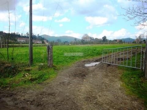 Terreno Agrícola com 13.980 m2  em Pinheiro