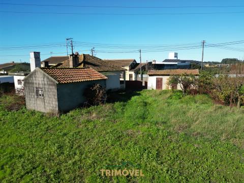 Moradia T2 e Terrenos para Construção, Loureiro, Oliveira de Azeméis