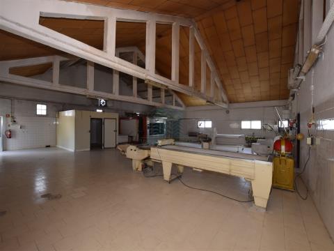 Excellent Bakery activity warehouse located in Madalena and Beselga, Tomar
